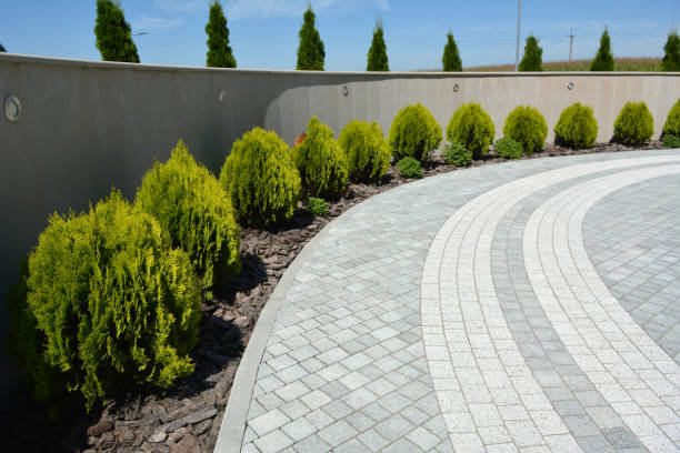 Best Driveway Pavers Contractor  in Springmont, PA